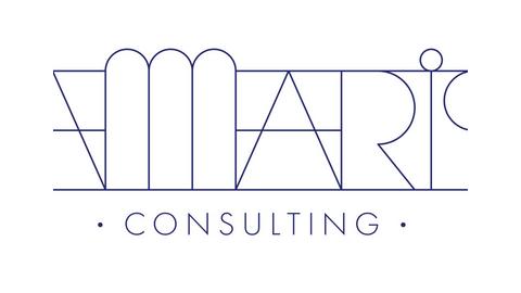 AMARIS CONSULTING